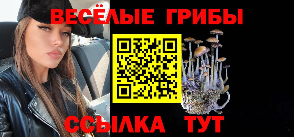 Ессентуки  Галлюциногенные грибы Psilocybine cubensis  Галлюциногенные грибы Psilocybe  Вход с VPN 