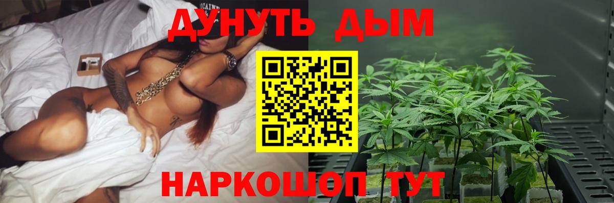 Конопля план Ессентуки